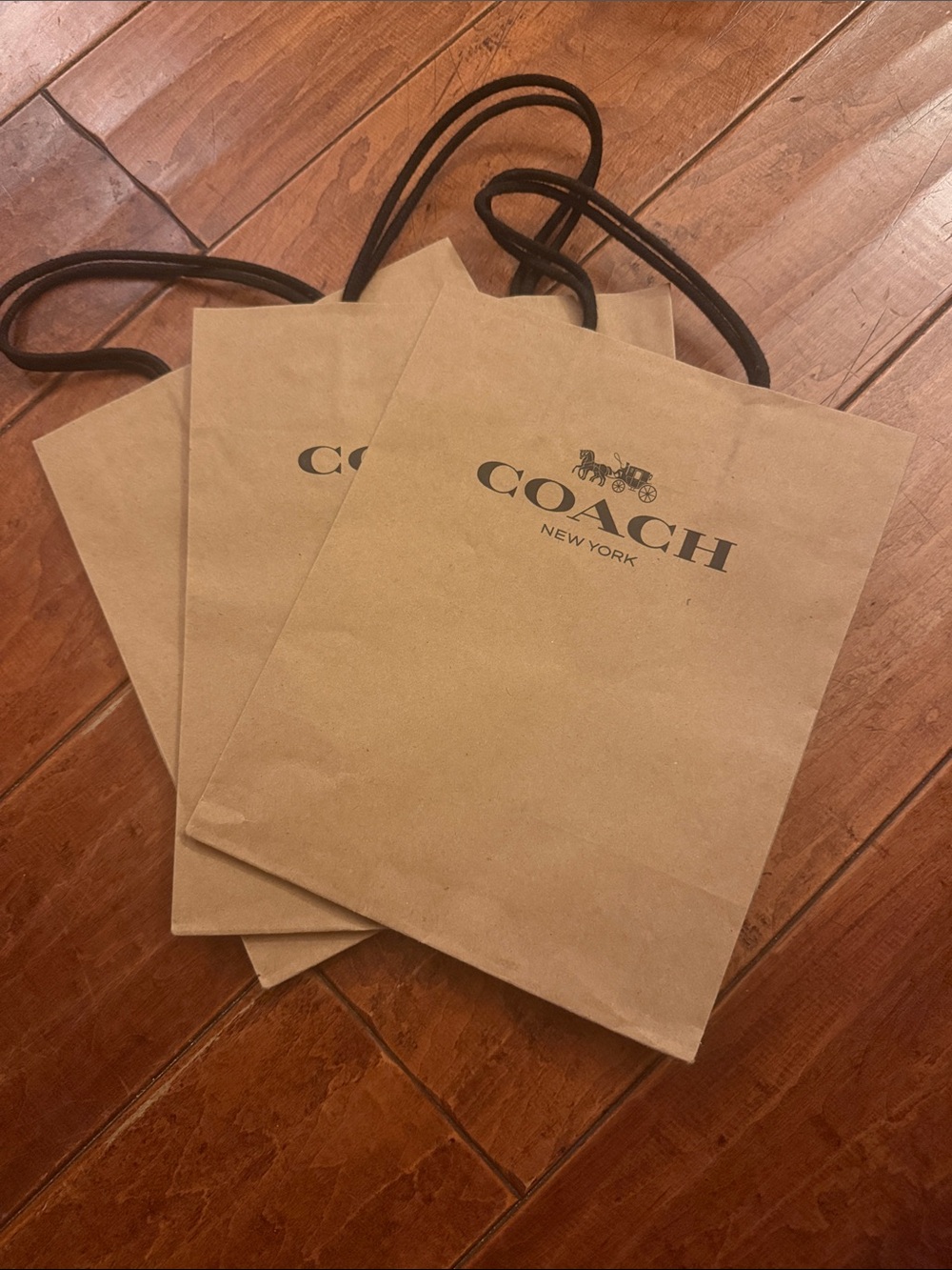 COACH Brown Paper Gift Bags with Dark Rope Handles